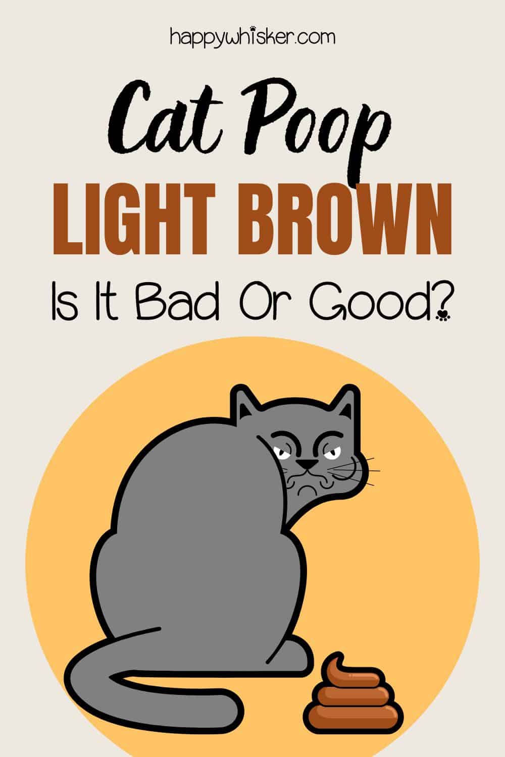 Cat Poop Light Brown In Color - Is It Bad Or Good Pinterest