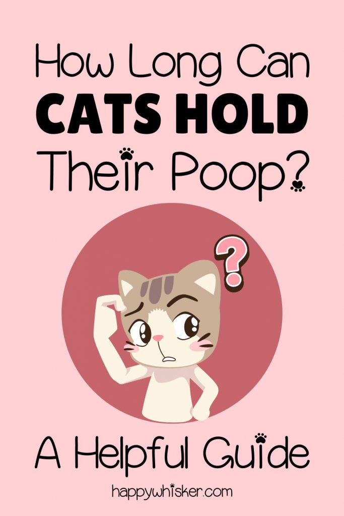 How Long Can Cats Hold Their Poop? A Helpful Guide