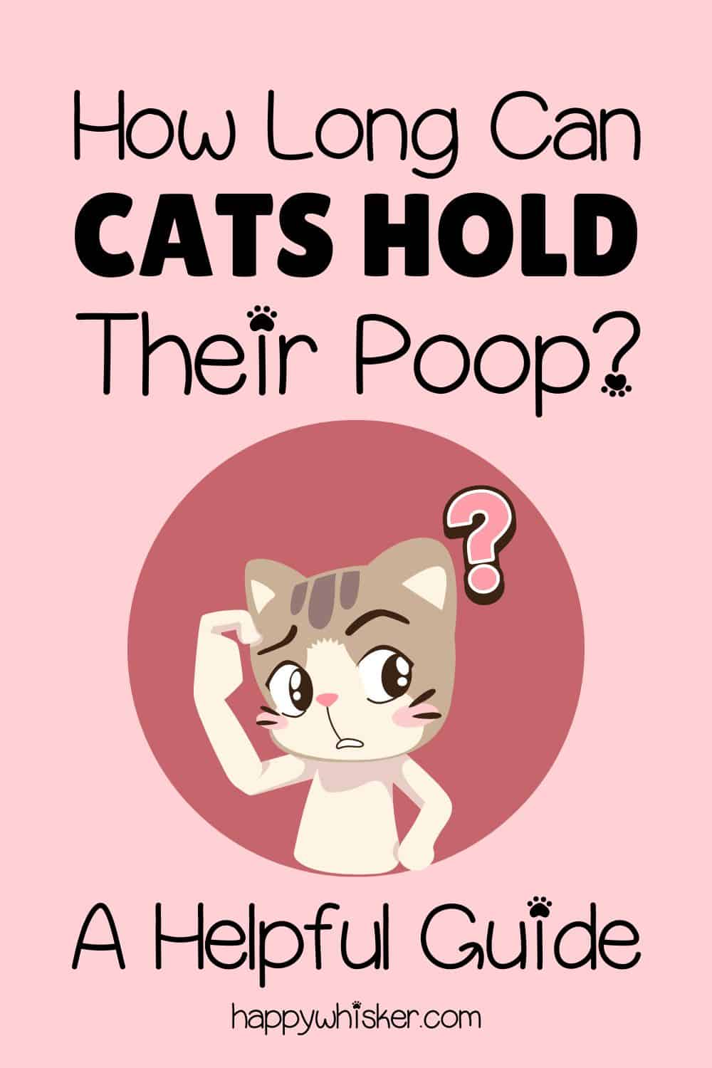How Long Can Cats Hold Their Poop A Helpful Guide Pinterest