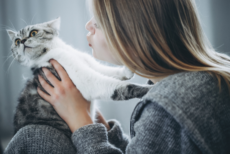 the cat is angry with the woman