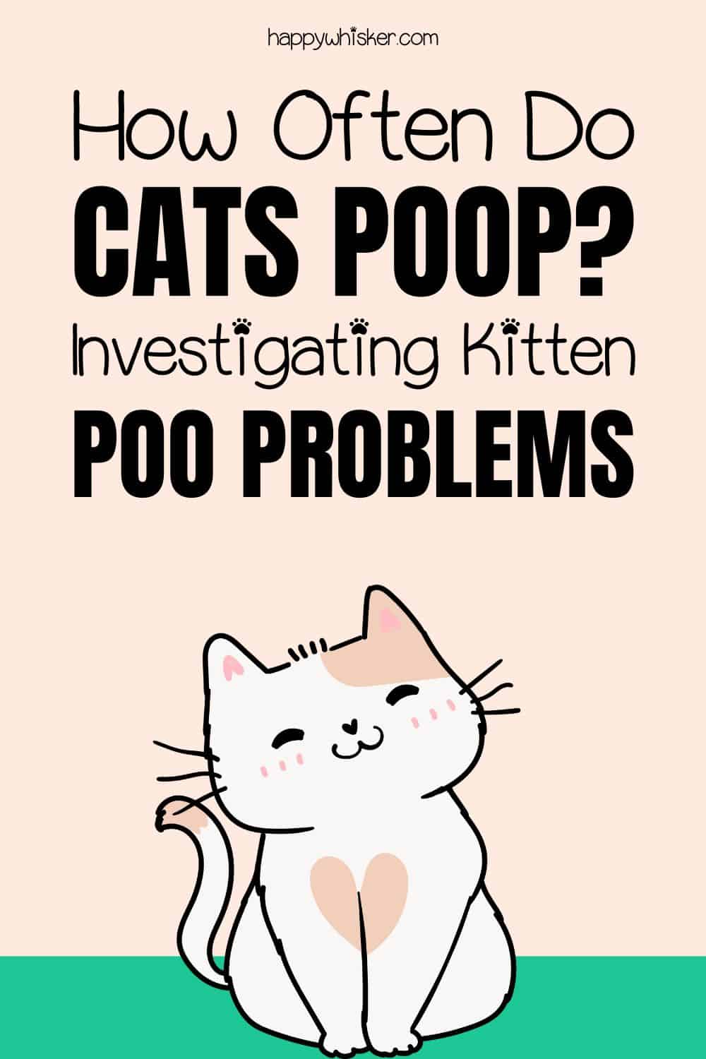 How Often Do Cats Poop Investigating Kitten Poo Problems Pinterest