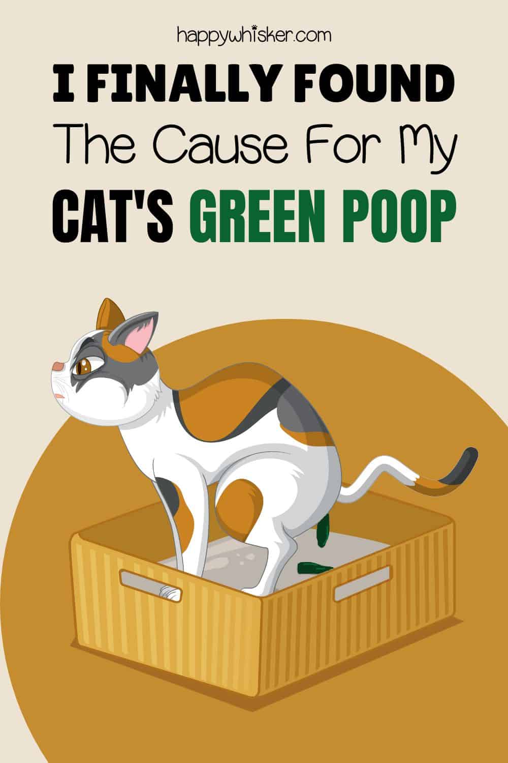 I Finally Found The Cause For My Cat's Green Poop Pinterest