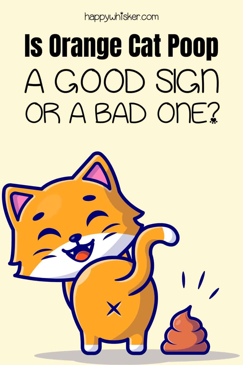 Is Orange Cat Poop A Good Sign Or A Bad One Pinterest