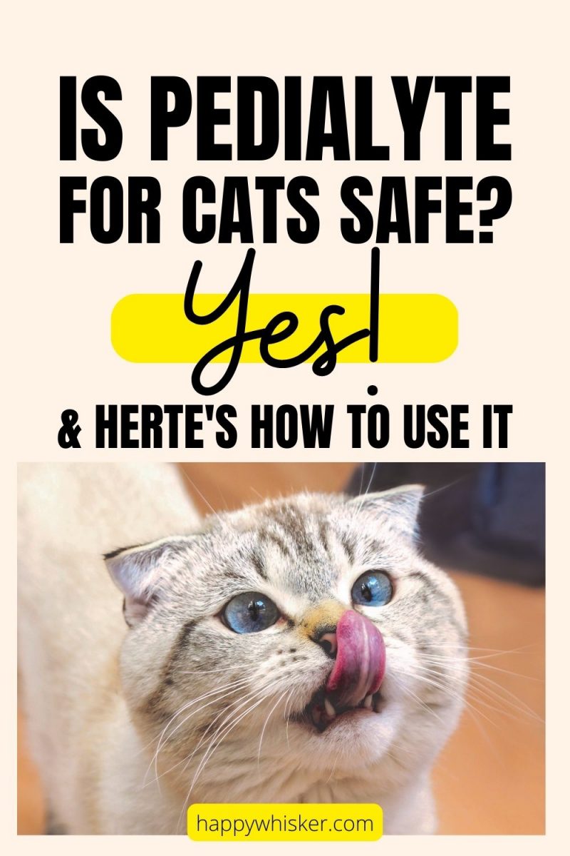 Is Pedialyte For Cats Safe? Yes! And Here's How To Use It