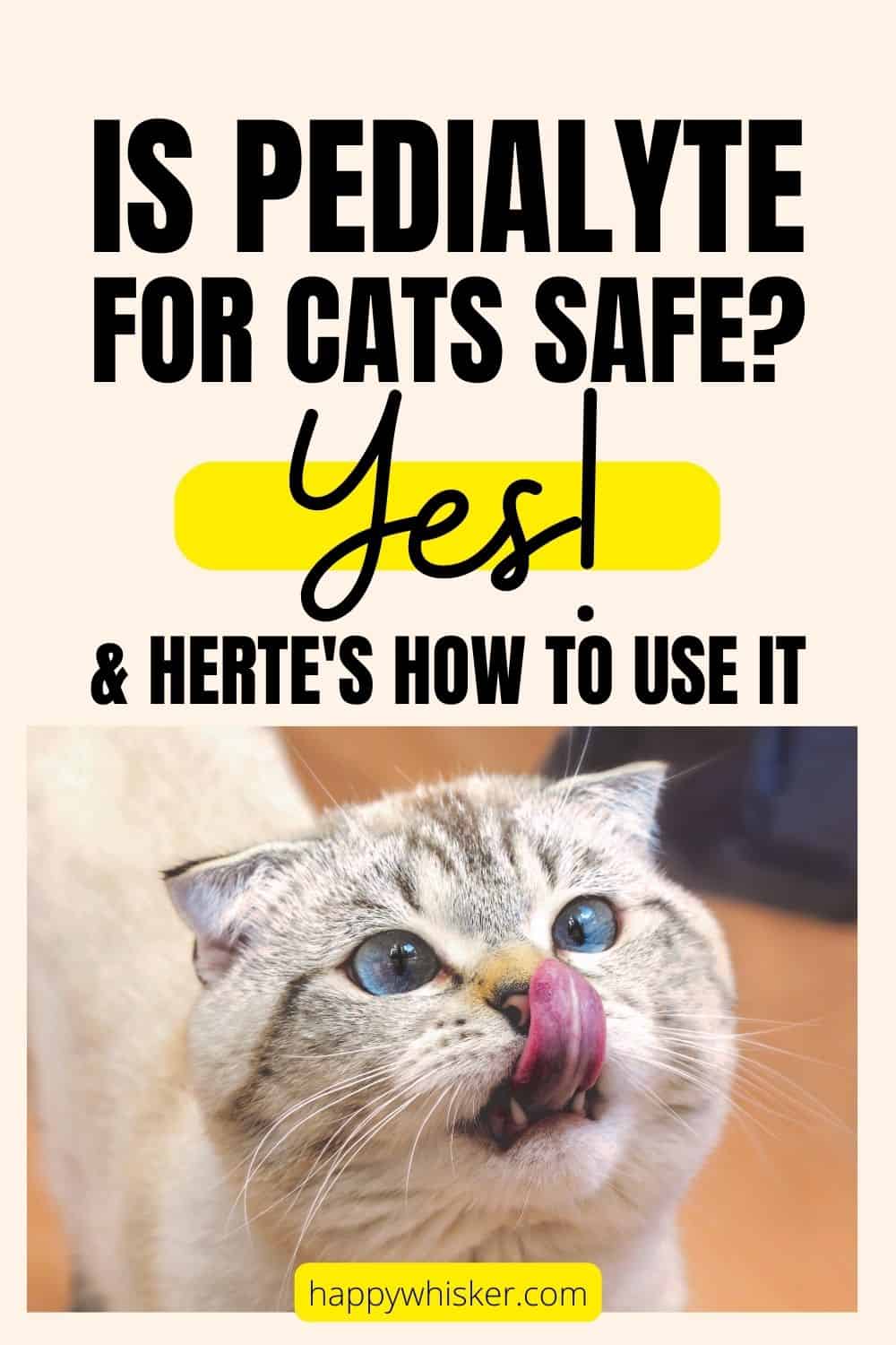 Is Pedialyte For Cats Safe Yes! & Herte's How To Use It Pinteres
