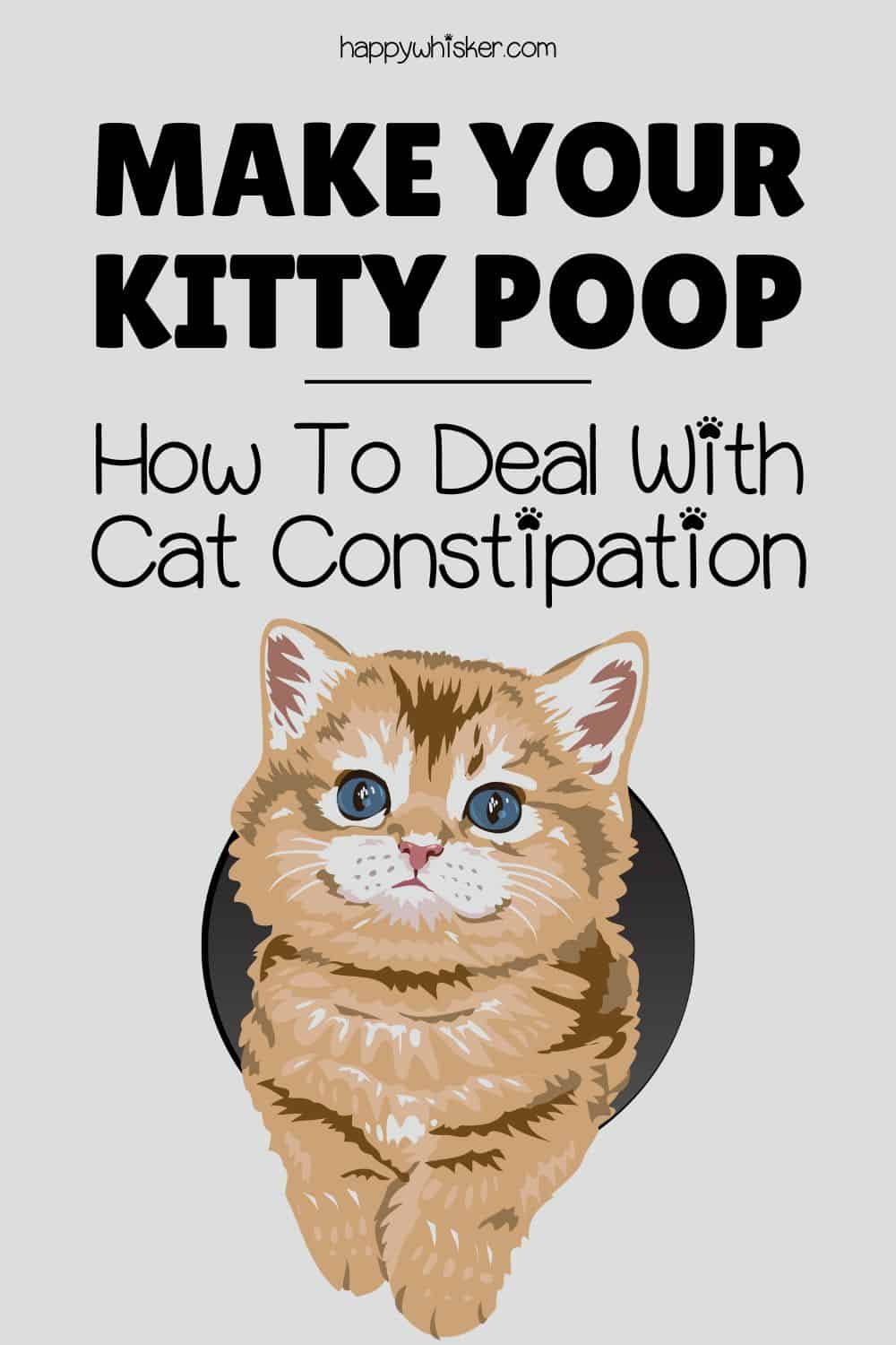 Make Your Kitty Poop - How To Deal With Cat Constipation Pinterest