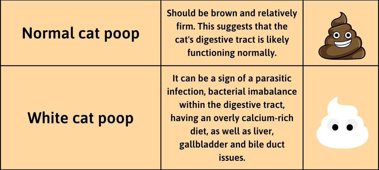 Normal vs white cat poop