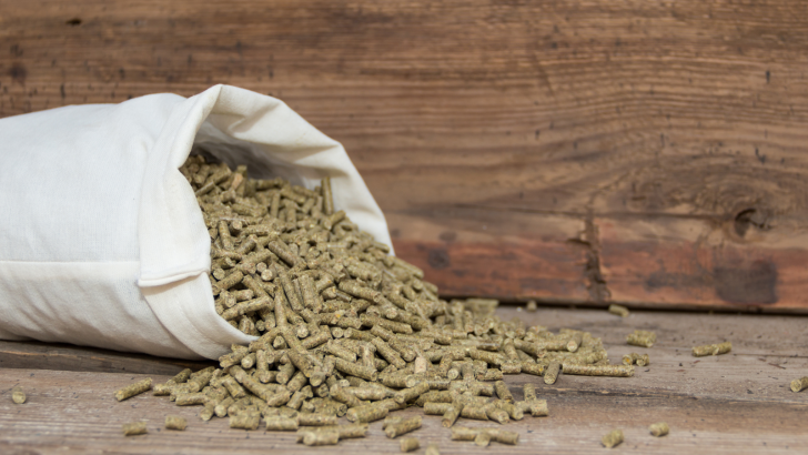 Using Horse Pellets For Cat Litter – Is It Doable?