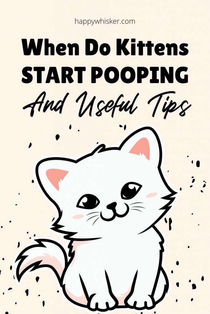 When Do Kittens Start Pooping & Useful Tips
