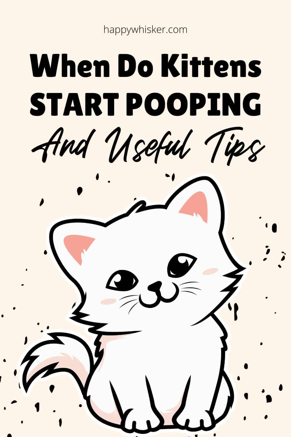 When Do Kittens Start Pooping & Useful Tips Pinterest