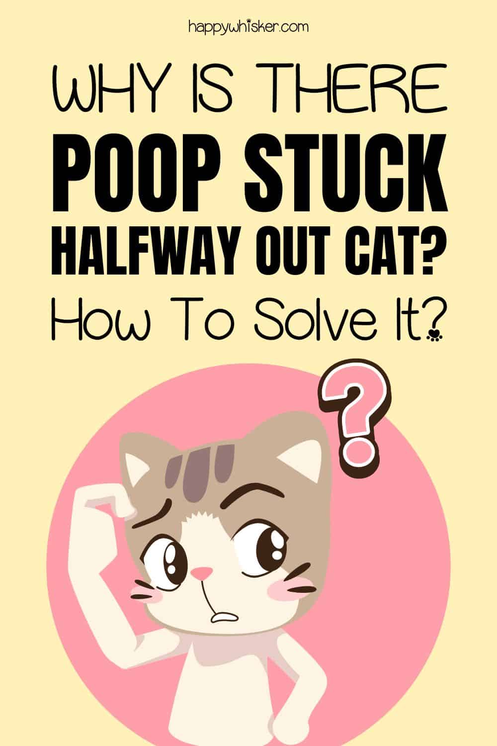 _Why Is There Poop Stuck Halfway Out Cat How To Solve It Pinterest