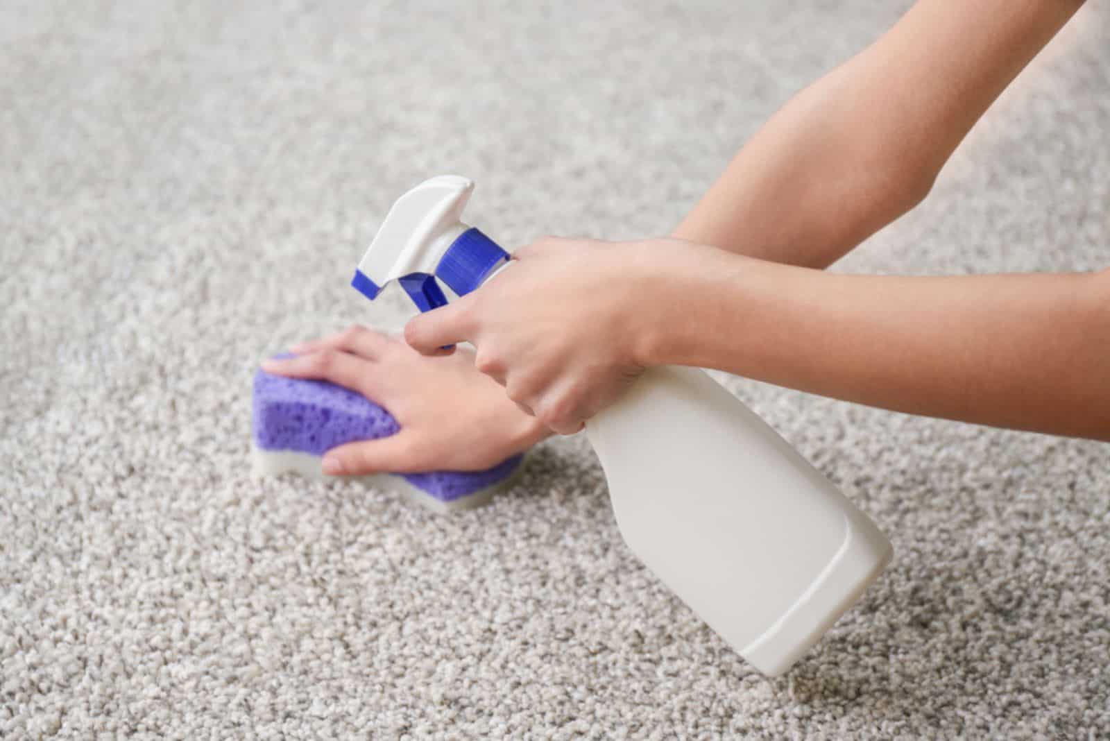 Woman cleaning carpet at home