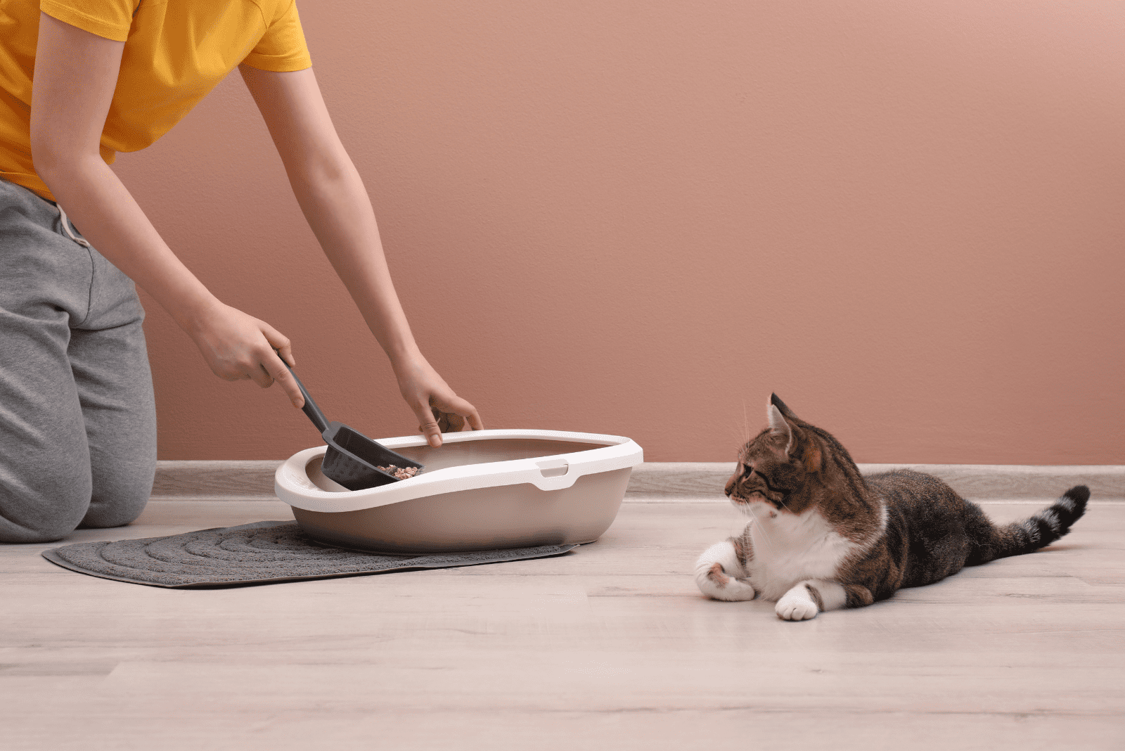 a woman cleans cat litter 