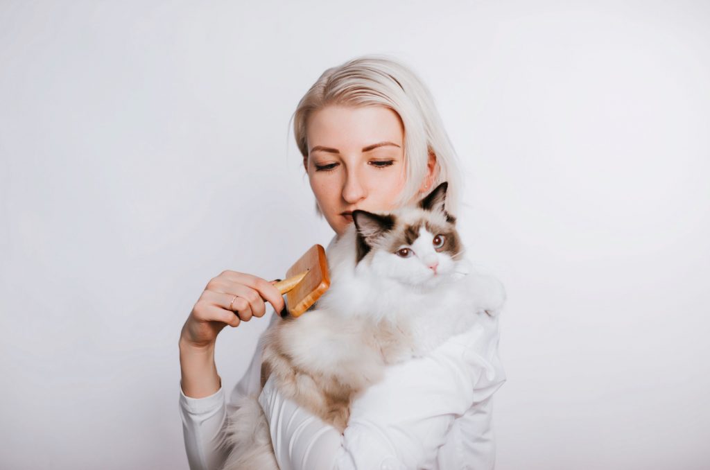 blonde woman brushing a ragdoll cat