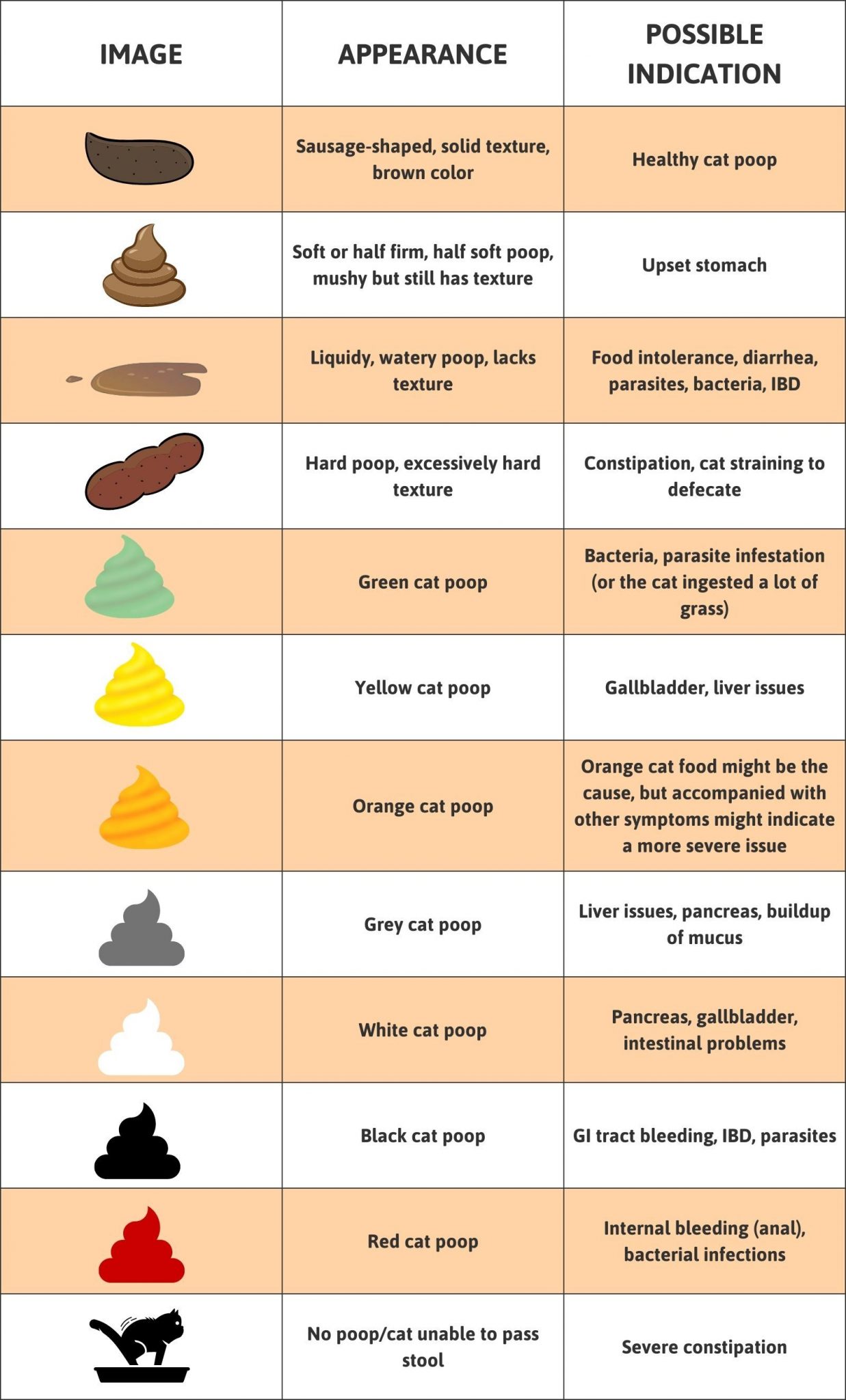 what does it mean if my dog has yellow diarrhea - orangey brown poop ...