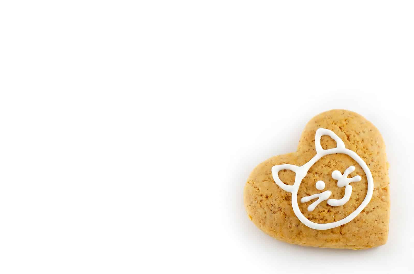 Can Cats Eat Gingerbread? Learn More About Safe Cat Treats