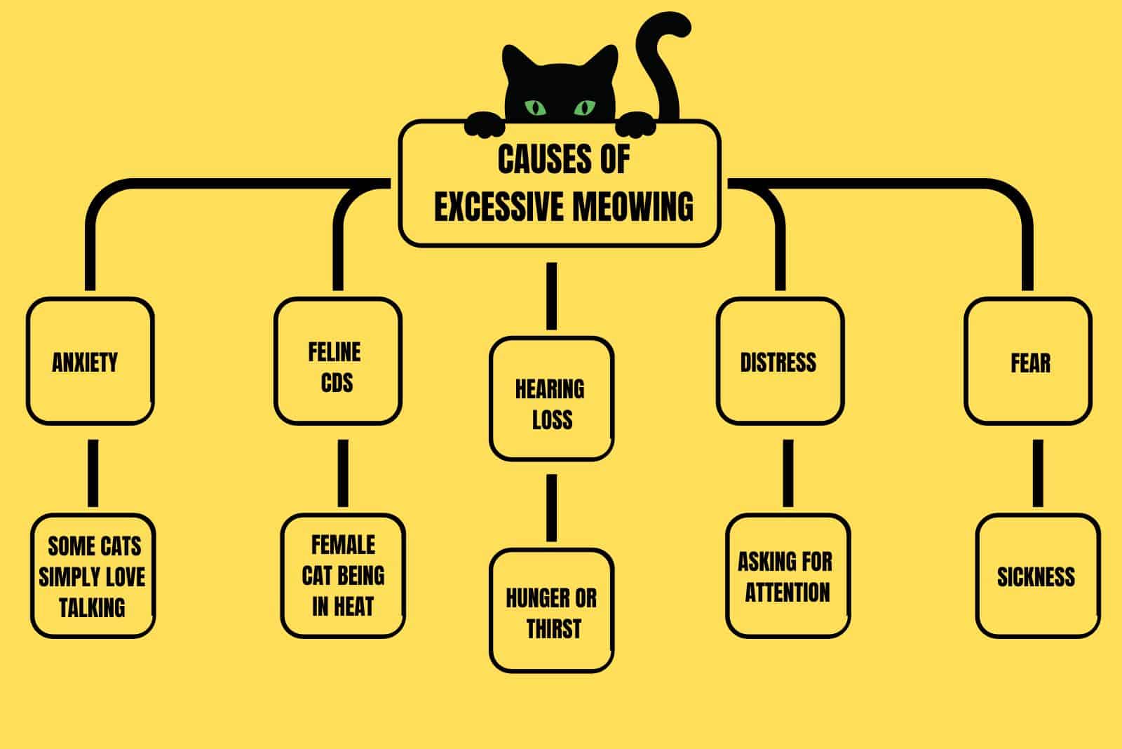 illustration with causes of excessive meowing