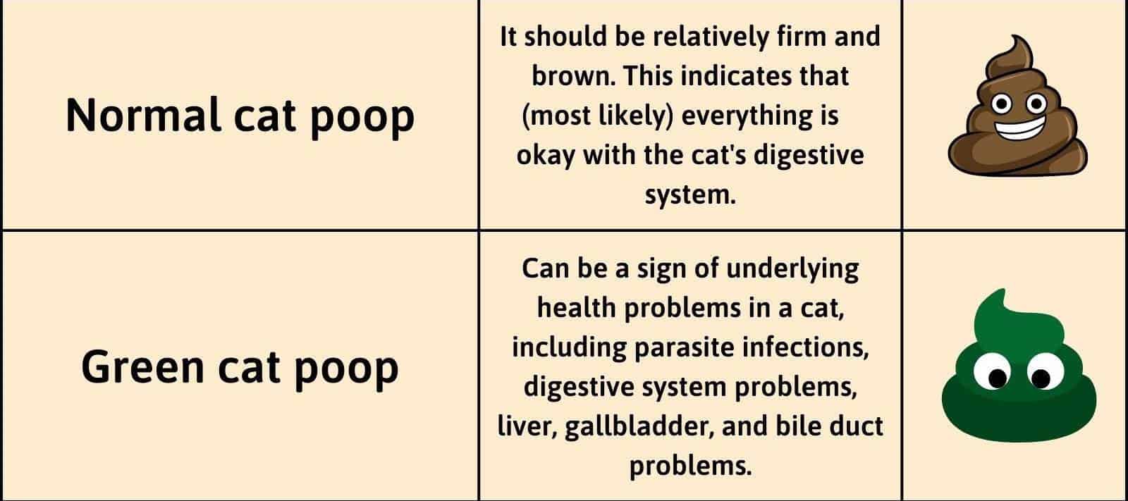 normal vs green cat poop