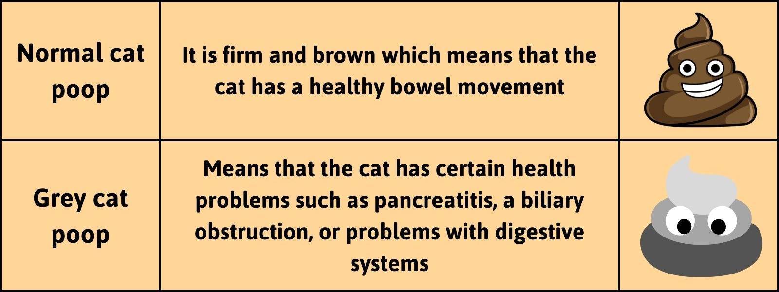 normal vs grey cat poop