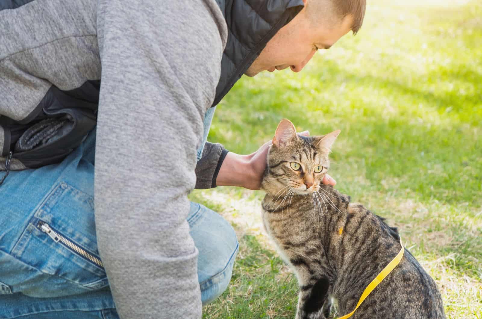 owner petting cat