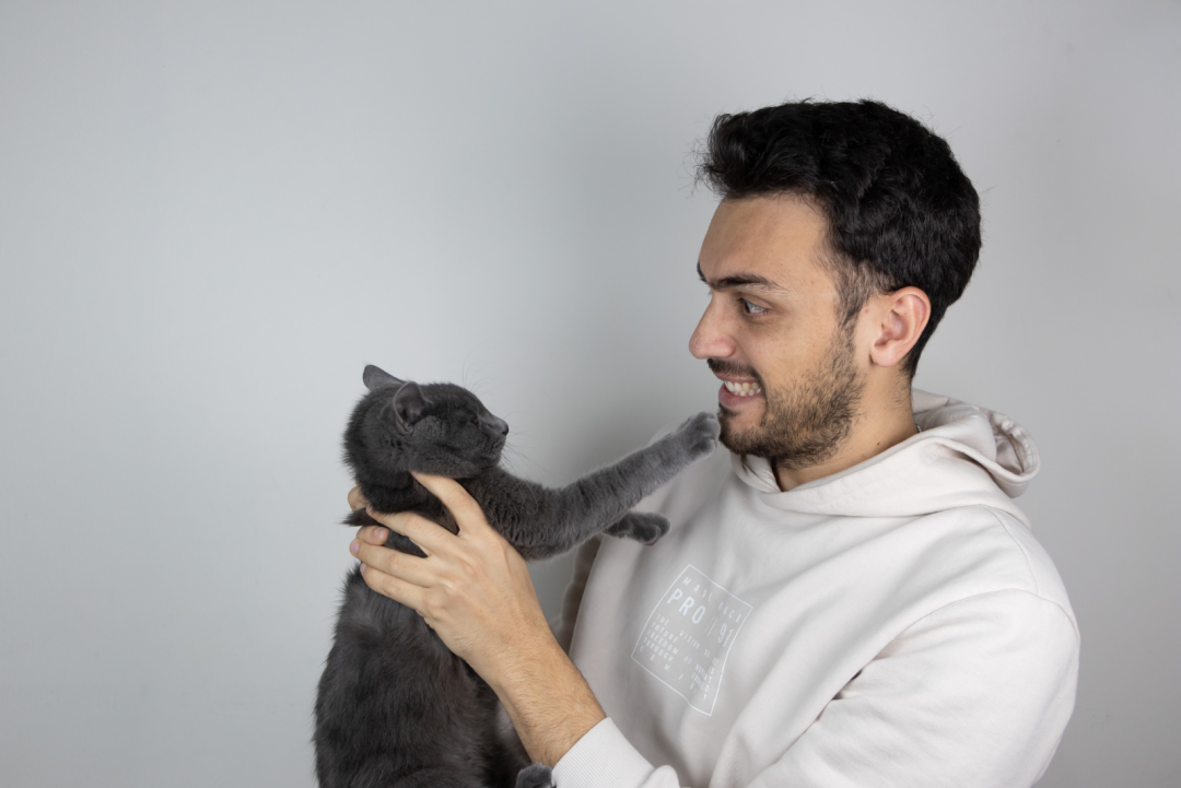 How Long Does A Cat Hold A Grudge? How's Your Cat's Memory?