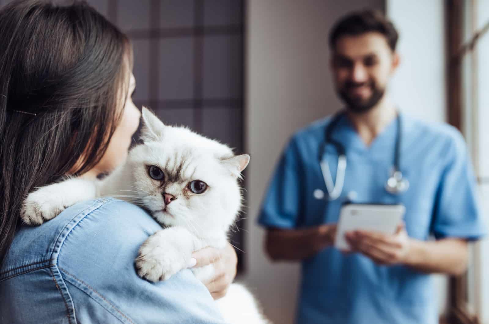 vet holding a cat