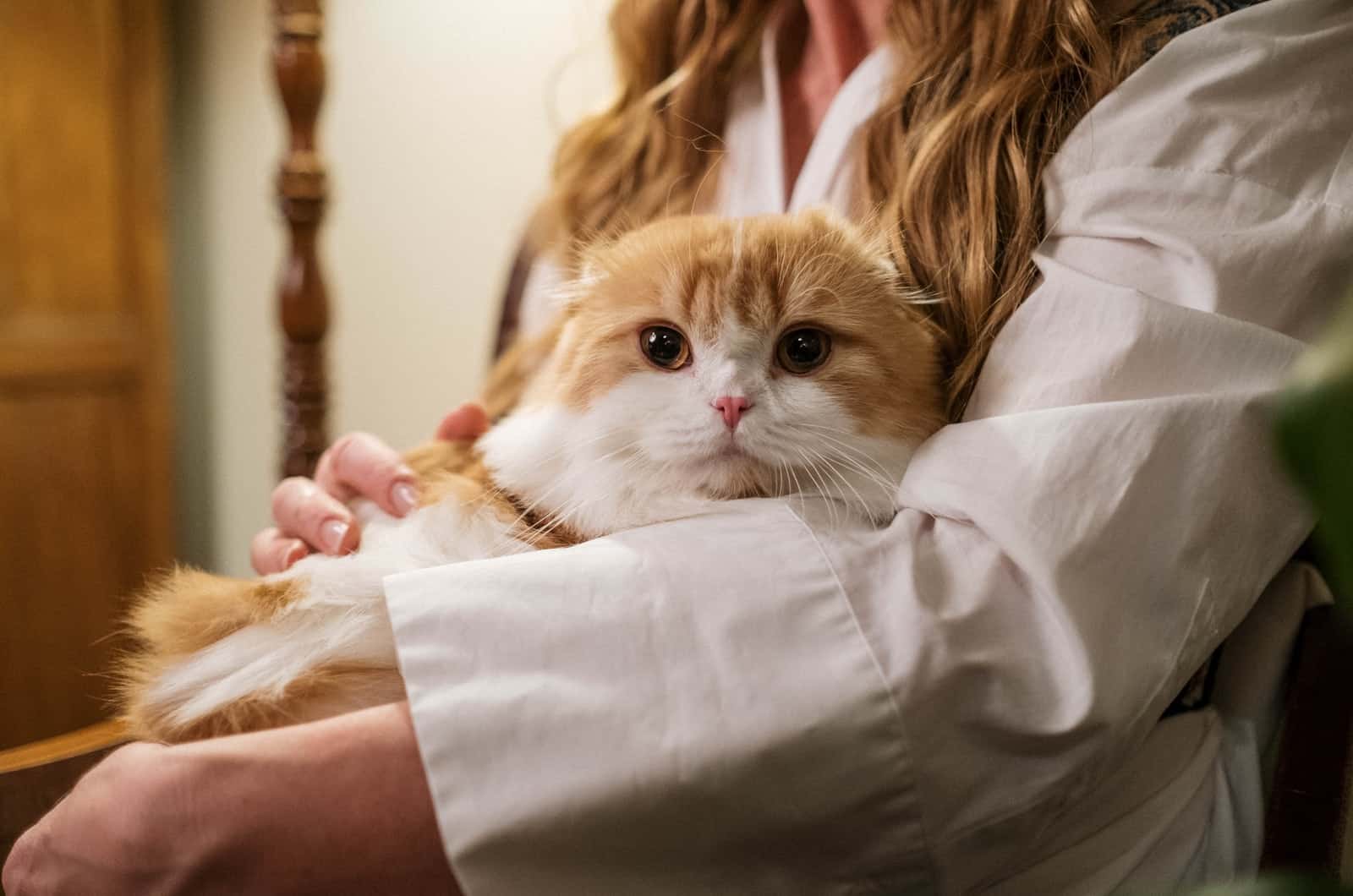 woman holding her cat