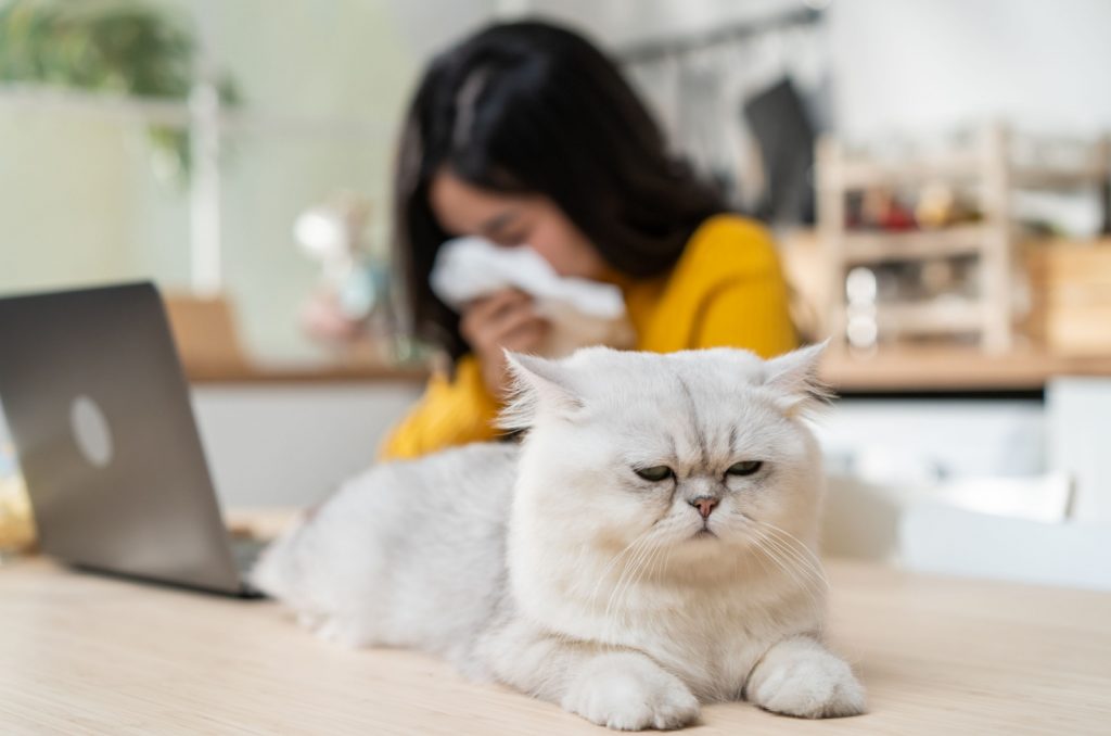 woman sneezing near a cat