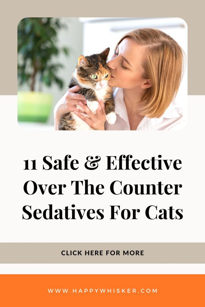 11 Safe And Effective Over The Counter Sedatives For Cats