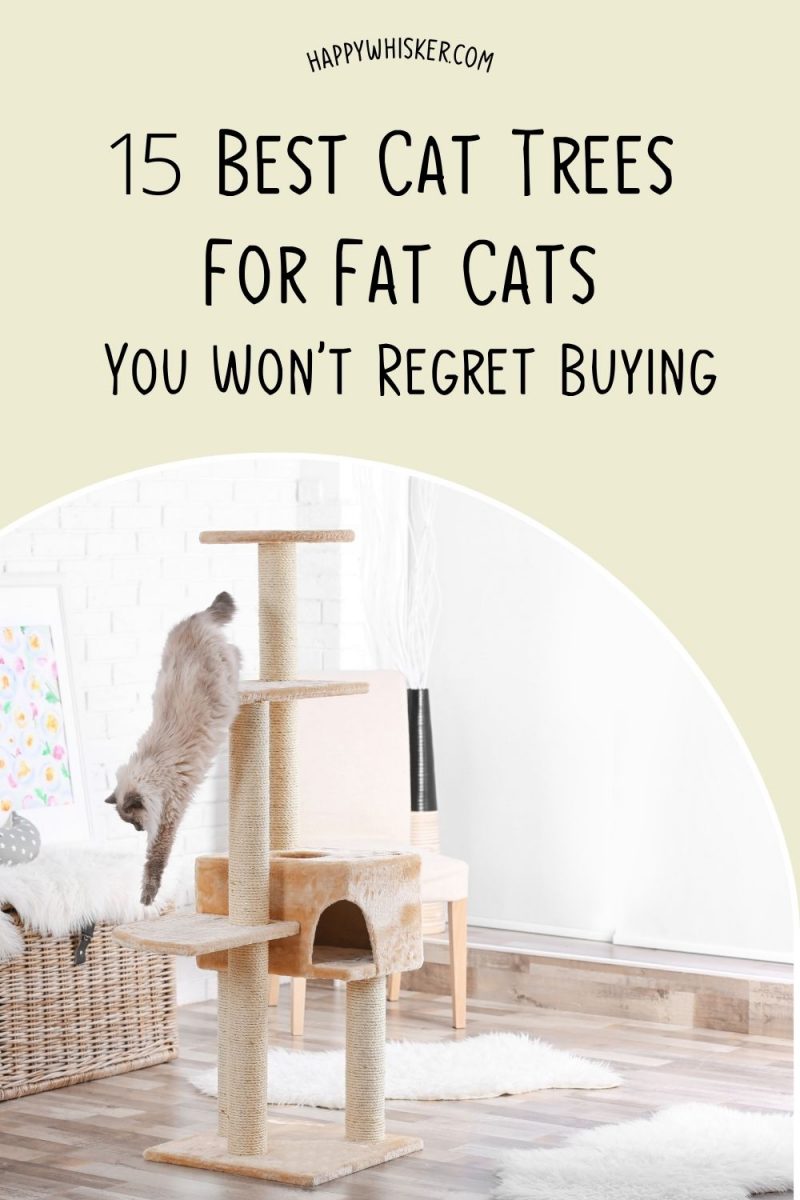 15 Best Cat Trees For Fat Cats You Won’t Regret Buying