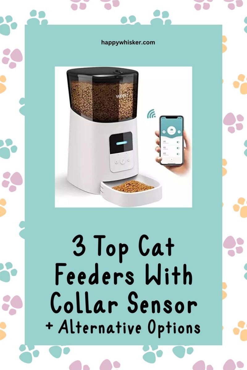 3 Top Cat Feeders With Collar Sensor + Alternative Options