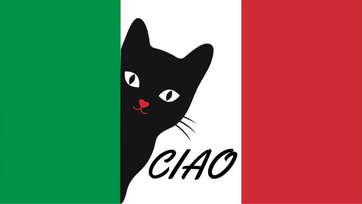 370 Italian Cat Names That Will Make Your Kitty Say ‘Ciao’