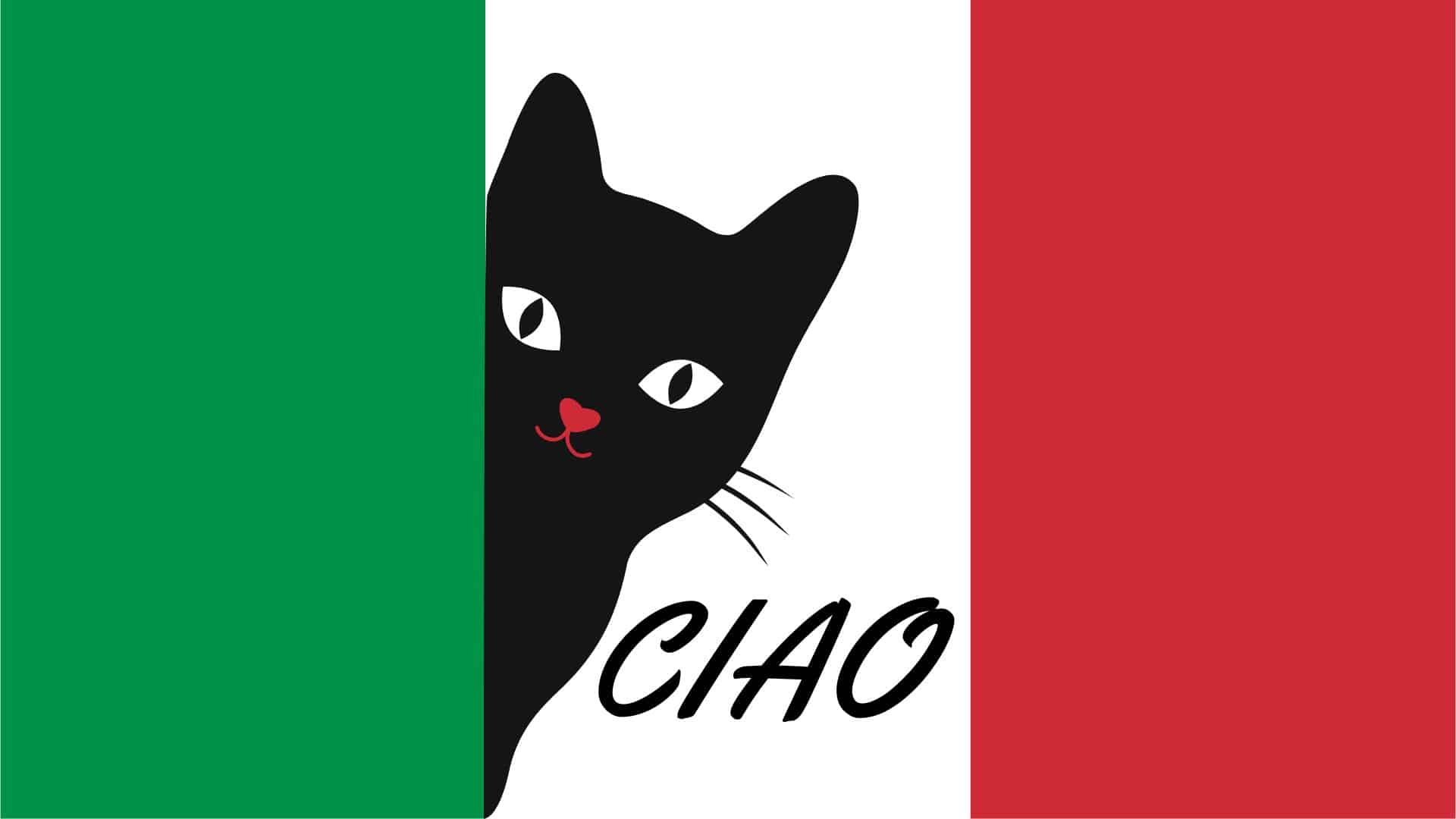 italian cat names