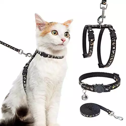 10 Best Escape-Proof Cat Harnesses (A Helpful Guide)