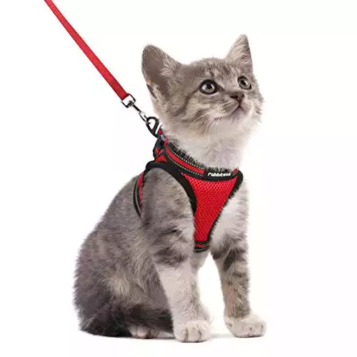 RabbitGo Cat & Kitten Harness And Leash