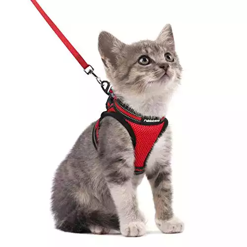 10 Best Escape-Proof Cat Harnesses (A Helpful Guide)