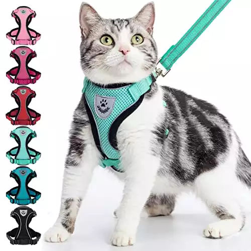 Pupteck Cat Harness & Leash Set