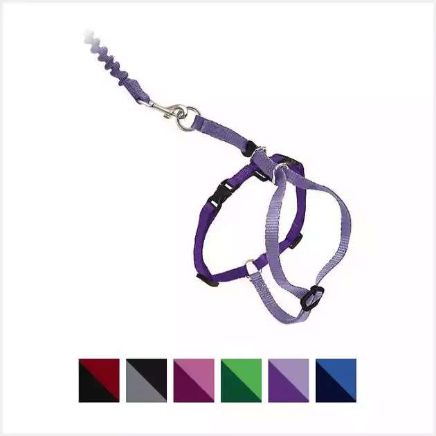 PetSafe Come With Me Kitty Nylon Cat Harness & Bungee Leash