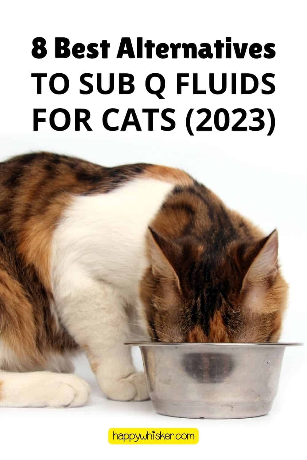 8 Best Alternatives To Sub Q Fluids For Cats (2023) Pinterest