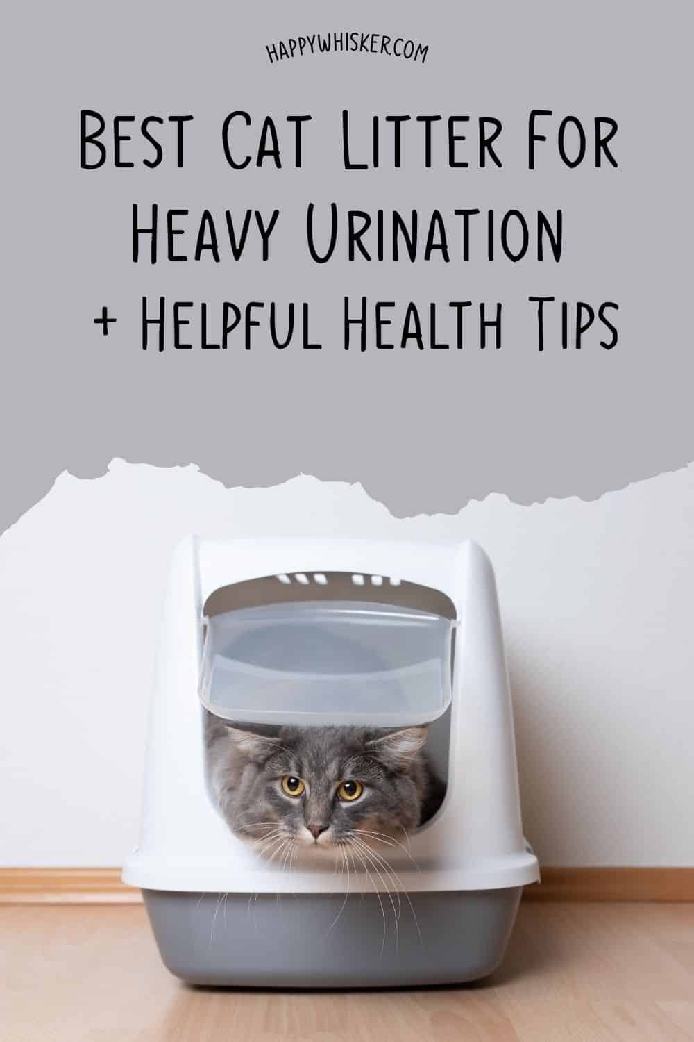 Best Cat Litter For Heavy Urination + Helpful Health Tips Pinterest