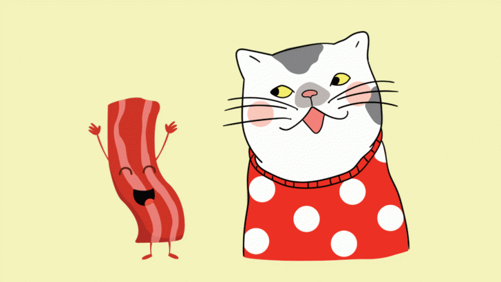 <strong>Can Cats Eat Bacon? Is It Safe, Are There Any Health Risks?</strong>