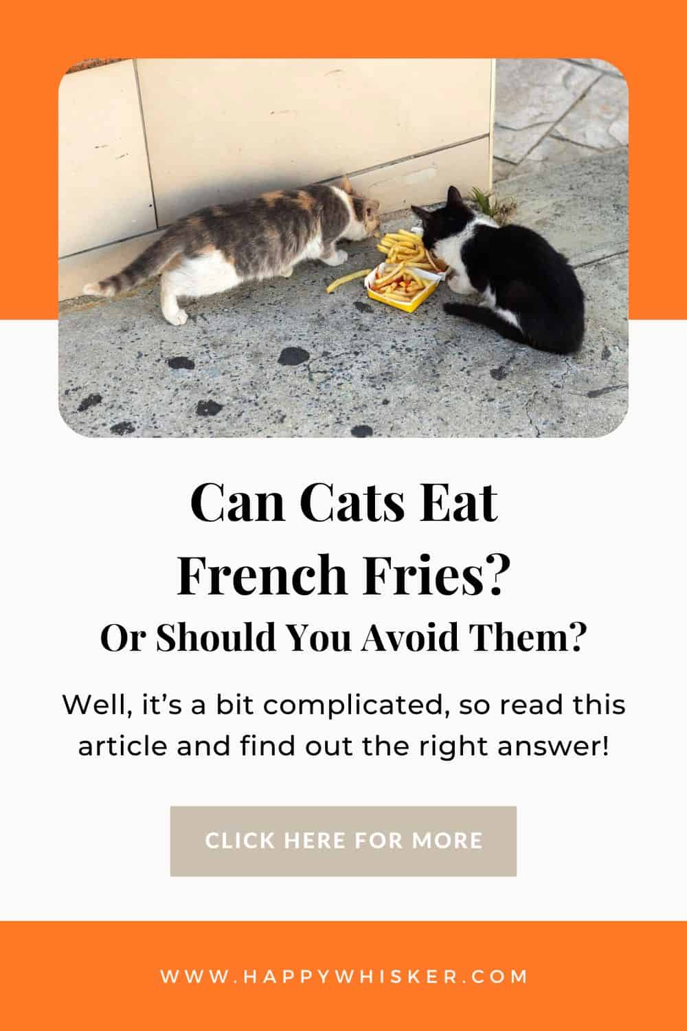 Can Cats Eat French Fries Or Should You Avoid Them Pinterest