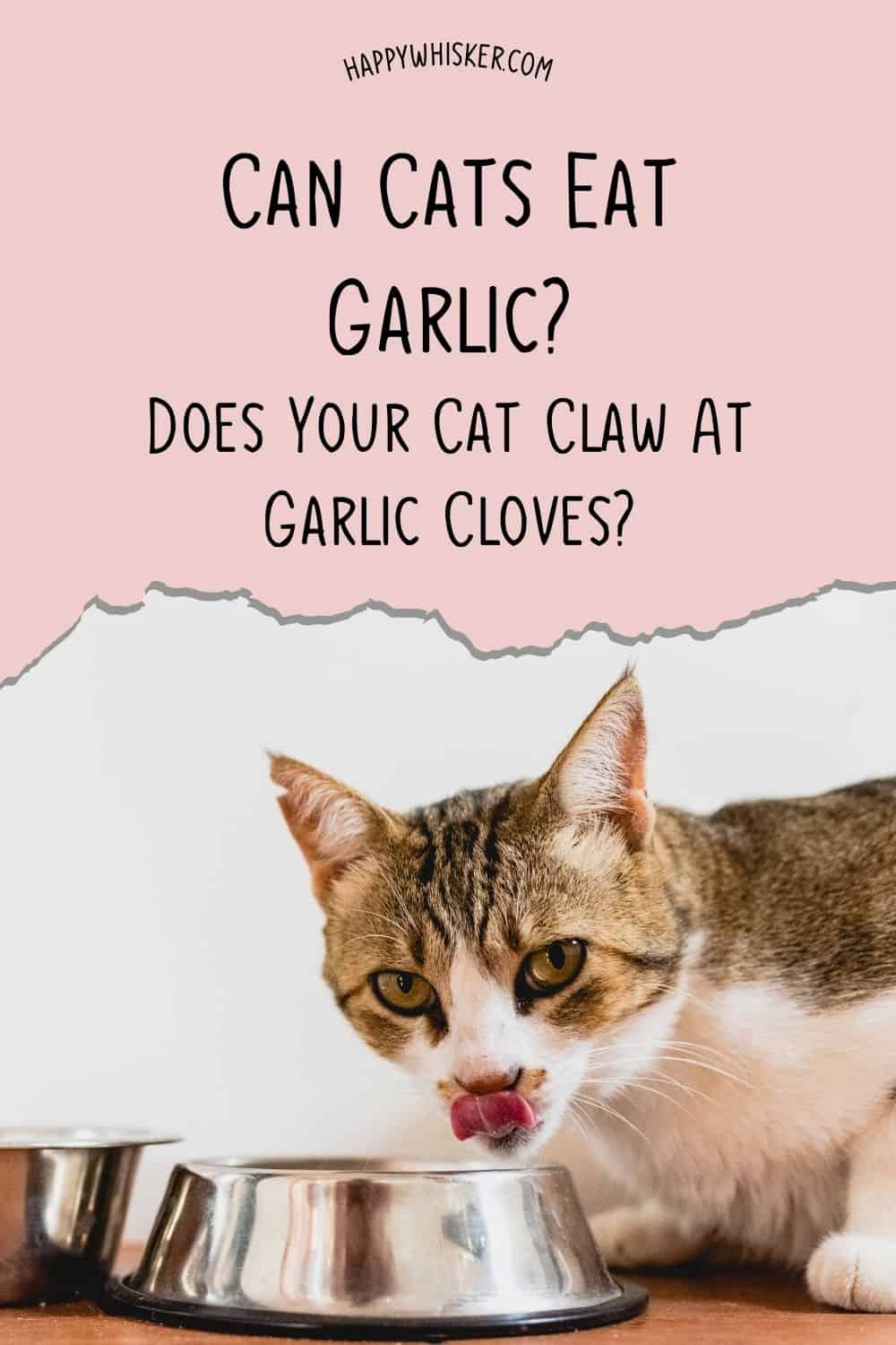 Can Cats Eat Garlic Does Your Cat Claw At Garlic Cloves Pinterest