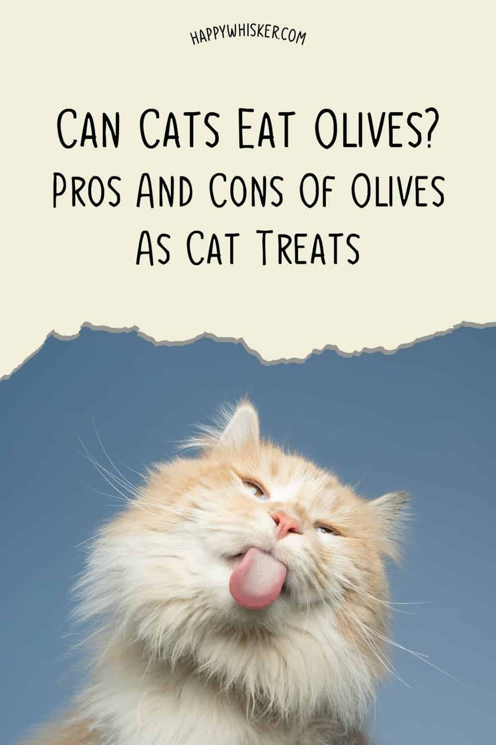 Can Cats Eat Olives Pros And Cons Of Olives As Cat Treats Pinterest
