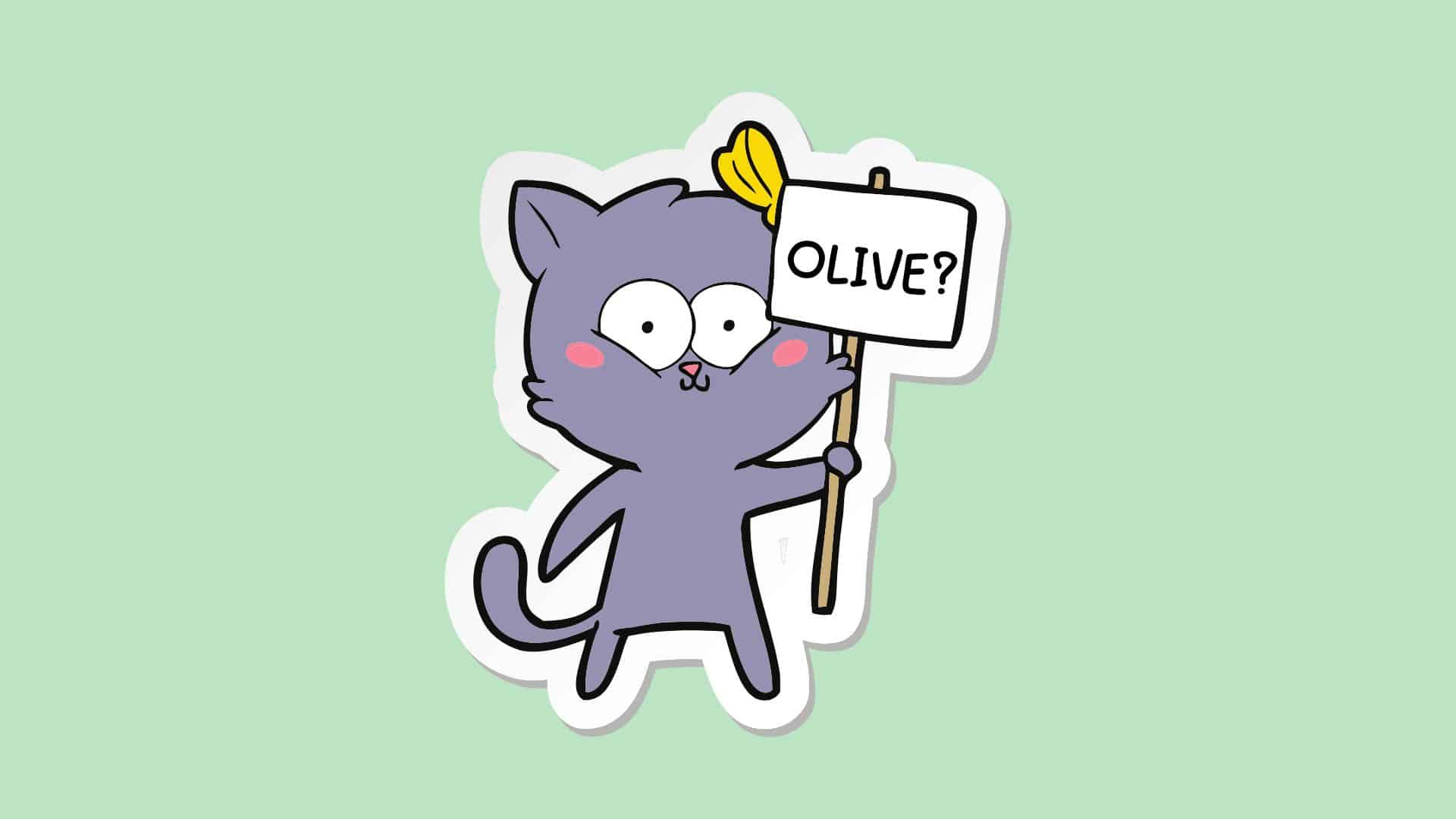 cat with olive sign