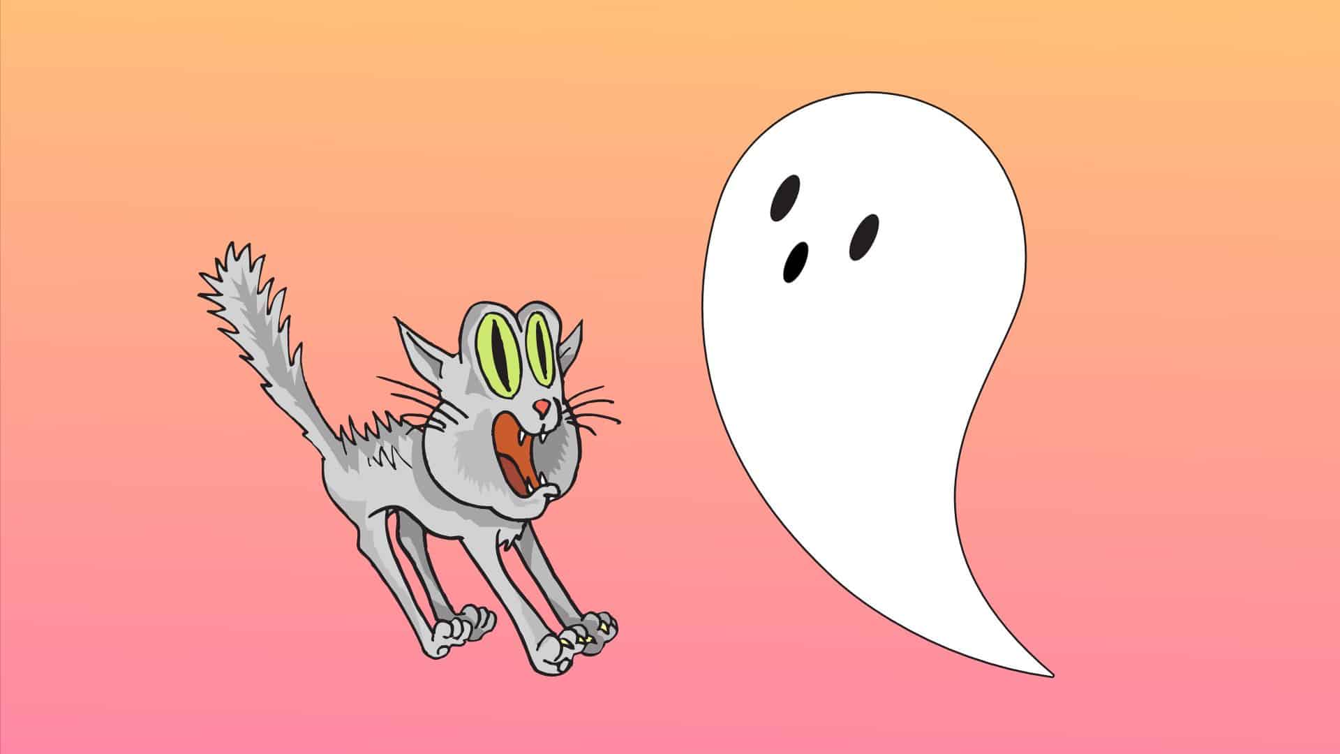 ghost and scared cat illustration