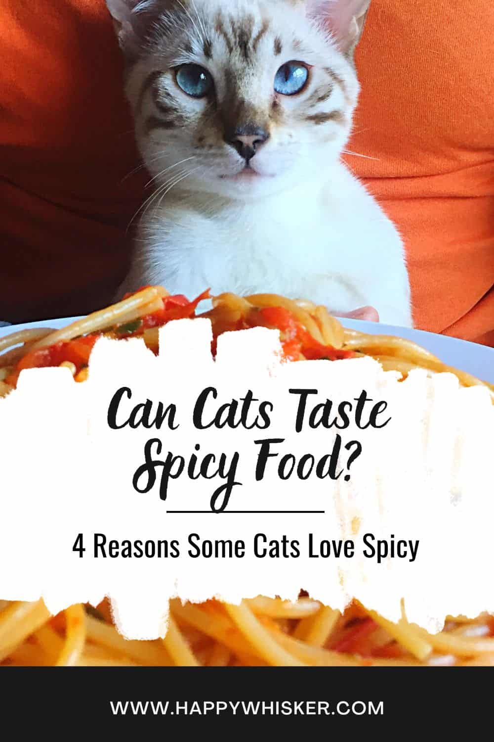 Can Cats Taste Spicy Food 4 Reasons Some Cats Love Spicy Pinterest