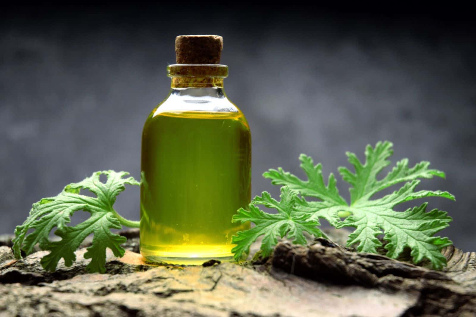 Citronella geranium aroma oil