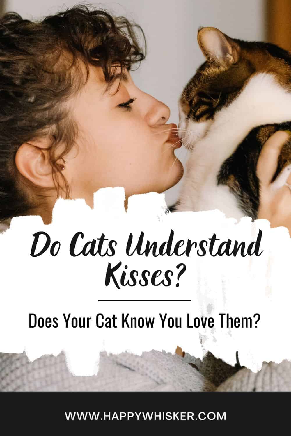 Do Cats Understand Kisses Does Your Cat Know You Love Them Pinterest