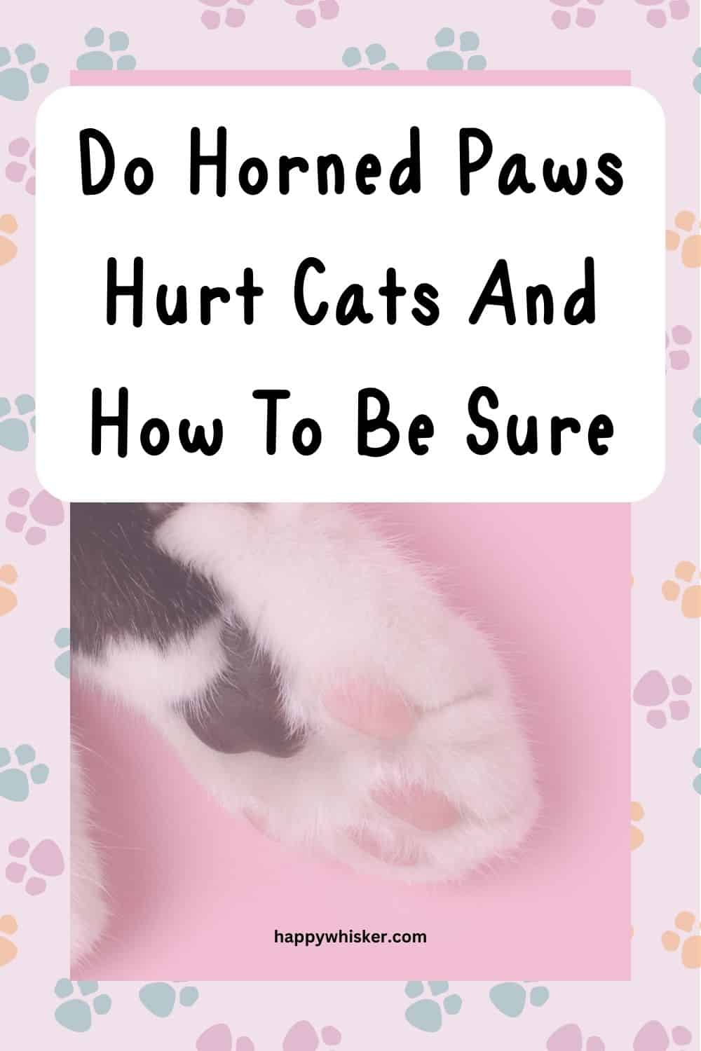 Do Horned Paws Hurt Cats And How To Be Sure Pinterest